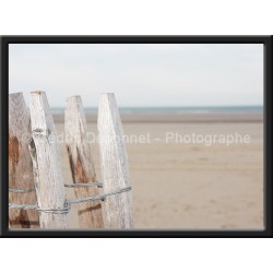 Bois sur la plage... pastel...